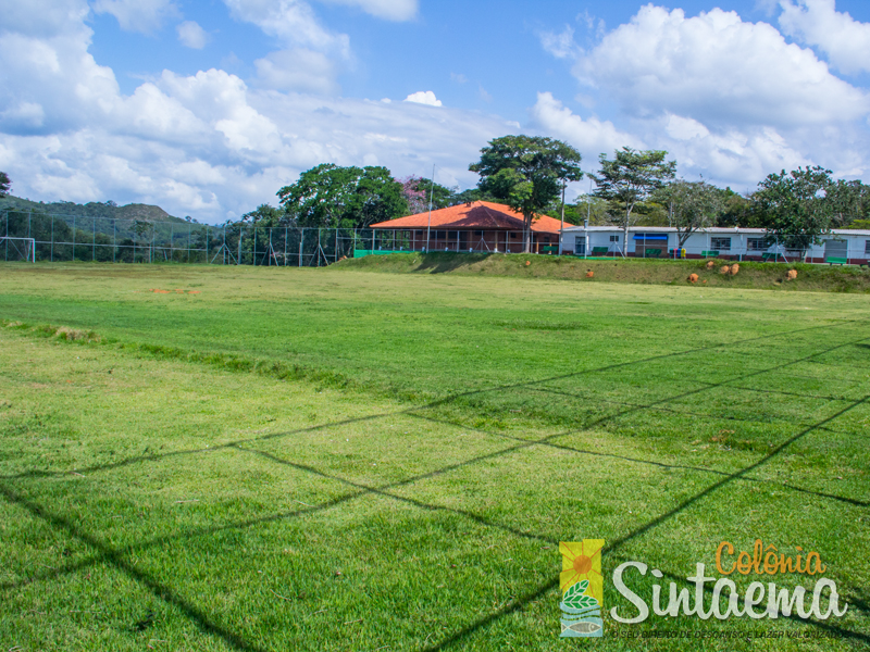 campo